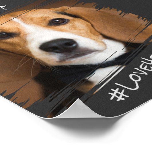 Moderne grafische elegant Simple Black Pet Dog Kee Poster (Hoek)