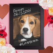 Moderne grafische elegant Simple Black Pet Dog Kee Poster