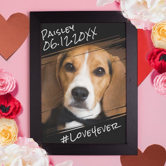 Moderne grafische elegant Simple Black Pet Dog Kee Poster