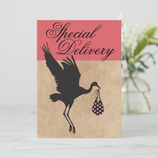 Moderne & Grappige Ooievaar Baby Meisje Shower Uit (Staand voorkant)