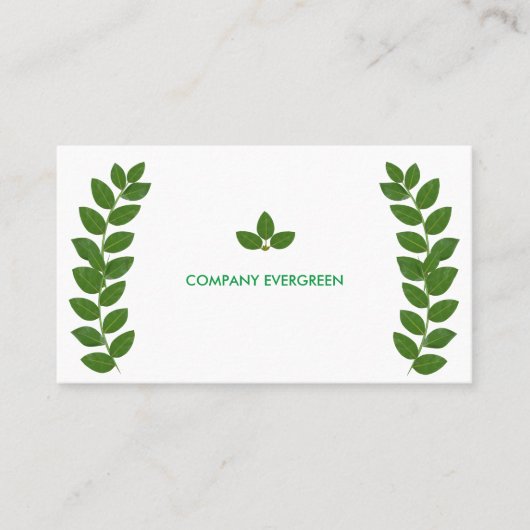 Moderne Groene Bay Bladeren op wit Visitekaartje (Voorkant)