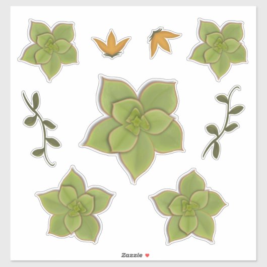 Moderne groene Echeveria met de hand getrokken suc Sticker (Vel)