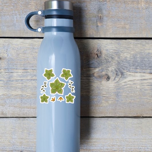 Moderne groene Echeveria met de hand getrokken suc Sticker