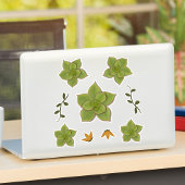 Moderne groene Echeveria met de hand getrokken suc Sticker