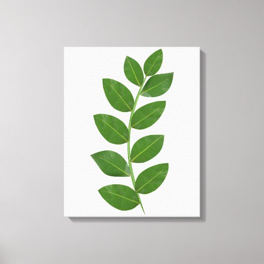 Moderne groene laurierbladeren canvas afdruk (Voorkant)