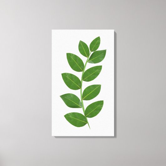 Moderne groene laurierbladeren canvas afdruk (Voorkant)