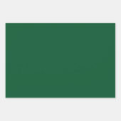 Moderne groene lijn vakantie inpakpapier vel (Voorkant 3)