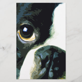 moderne grote Boston Terrier