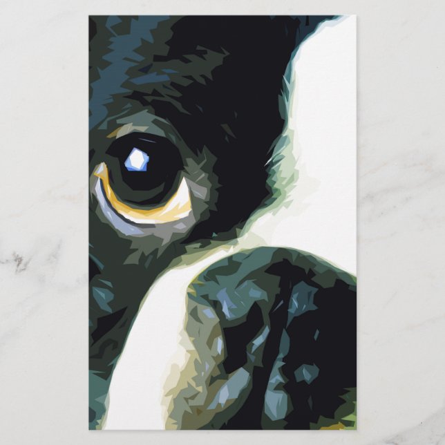moderne grote Boston Terrier (Voorkant)