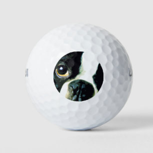 moderne grote Boston Terrier Golfballen