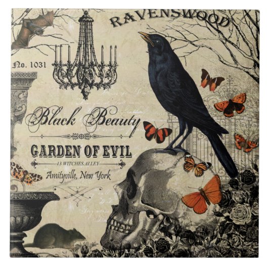 moderne  halloween kraai en schedel tegeltje (Voorkant)