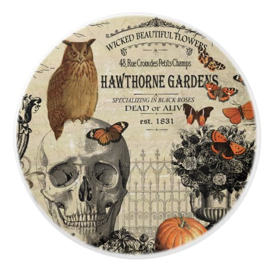 Moderne  halloween-uil en schedel keramische knop (Voorkant)