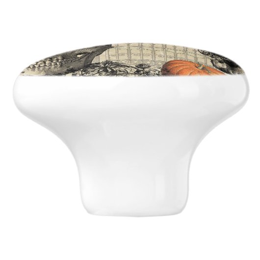 Moderne  halloween-uil en schedel keramische knop (Zijkant)