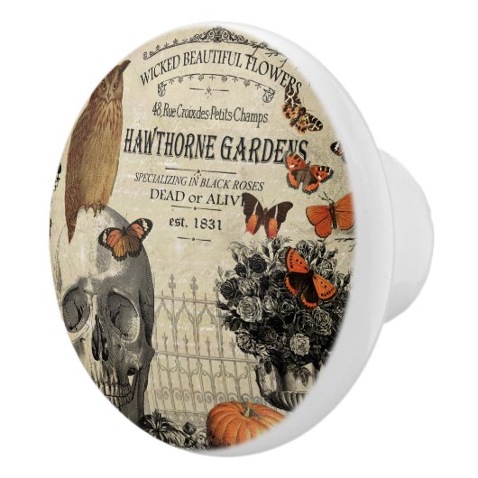 Moderne  halloween-uil en schedel keramische knop (Rechts)