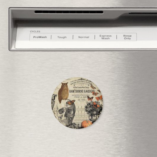 Moderne  halloween-uil en schedel magneet (Insitu (Vaatwasser))