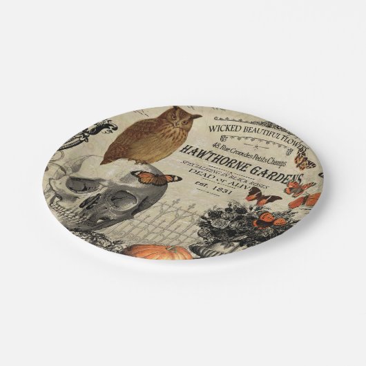 Moderne  halloween-uil en schedel papieren bordje (Gekanteld)