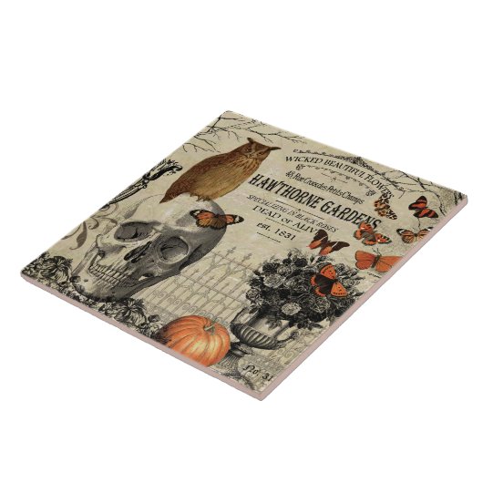 Moderne  halloween-uil en schedel tegeltje (Zijkant)