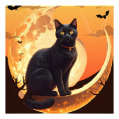 Moderne Halloween zwarte kat Foto Afdruk (Voorkant)