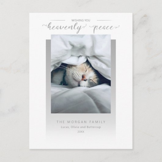 Moderne Heavenly Peace Calligraphy Pet Photo Briefkaart (Voorkant)