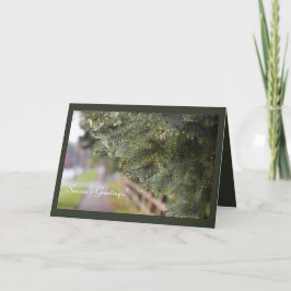 Moderne heldere glinsterende groenblijvende naalde kaart