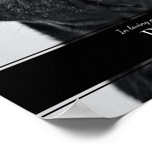 Moderne Herdenkingsfoto van huisdierhond Poster (Hoek)