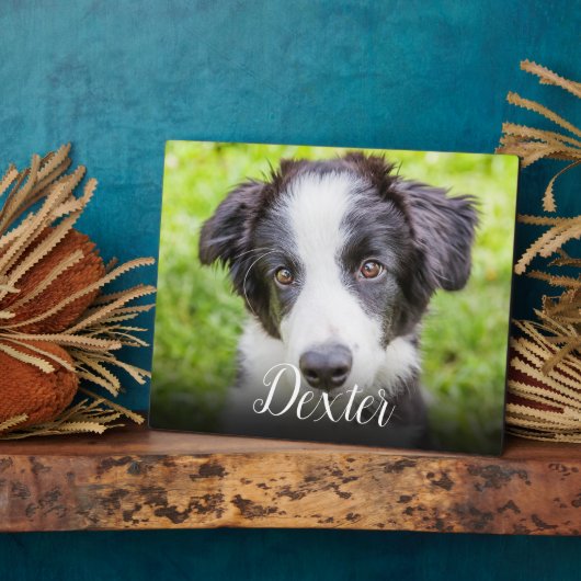 Moderne herdenkingsscript voor huisdierfoto's fotoplaat (Zijkant)