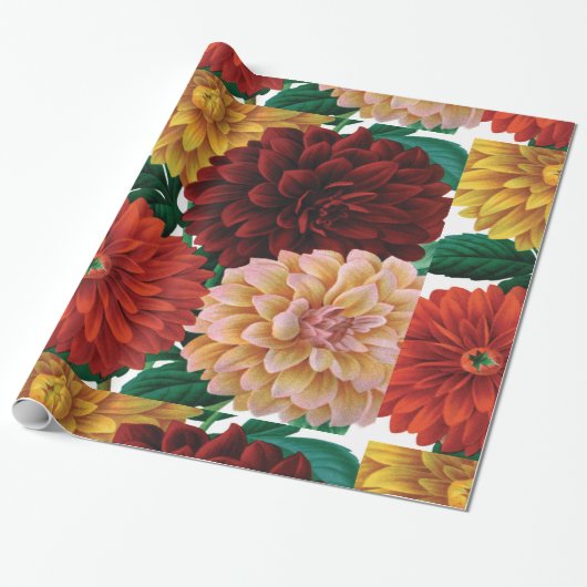 Moderne  herfst dahlias cadeaupapier (Uitgerold)
