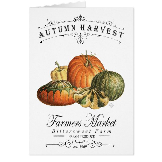 moderne  herfst, pompoen en pompoen (Voorkant)