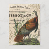 moderne  herfst wilde kalkoen briefkaart (Voorkant)