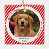 Moderne Herinnering aan Huisdier Dodenurne Foto va Keramisch Ornament (Voorkant)