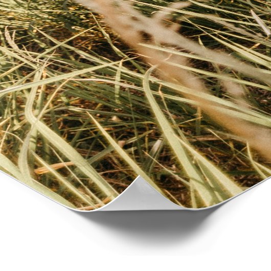 Moderne het Welkome Teken van het Band van het Man Poster (Hoek)