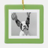 Moderne Hond Foto Groen Eenvoudig Mooi Gift Keramisch Ornament (Voorkant)