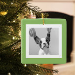 Moderne Hond Foto Groen Eenvoudig Mooi Gift Keramisch Ornament<br><div class="desc">Moderne Hond Foto Groen Eenvoudig Mooi Gift</div>