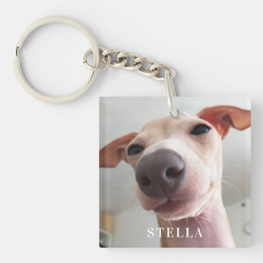 Moderne hond Huisdier Social Media QR Code Foto Sleutelhanger (Voorkant)