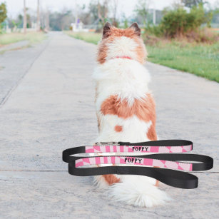 Moderne hond + kat   Controles   Roze op roze Hondenlijn