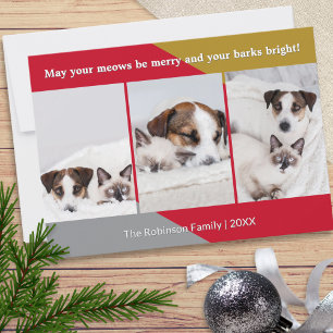 Moderne Hond Kat Foto Dieren Humor Kerstmis Feestdagenkaart