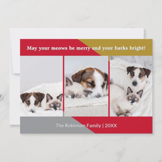 Moderne Hond Kat Foto Huisdier Humor Kerst Feestdagenkaart (Voorkant)
