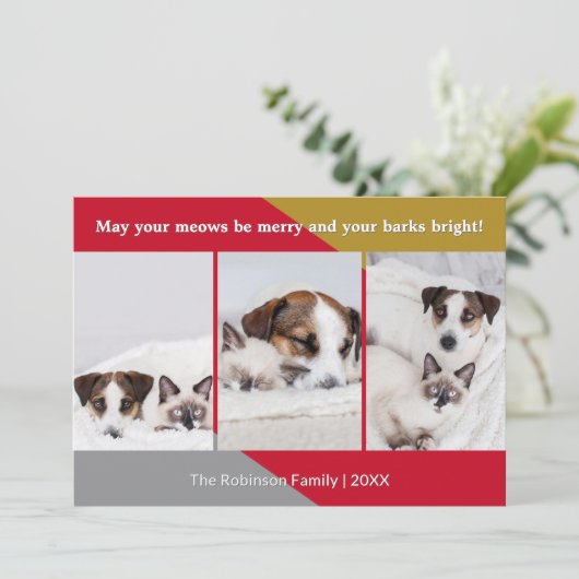 Moderne Hond Kat Foto Huisdier Humor Kerst Feestdagenkaart (Staand voorkant)