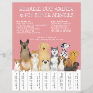 Moderne Hond Walker Huisdier Sitter Roze Eenvoudig Flyer