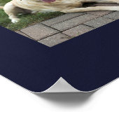 Moderne hondenfoto collage met 12 foto's op maat g poster (Hoek)