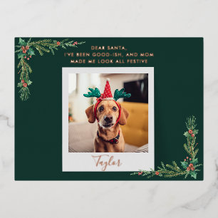 Moderne hondenfoto Kerstmis Folie Feestdagen Briefkaart