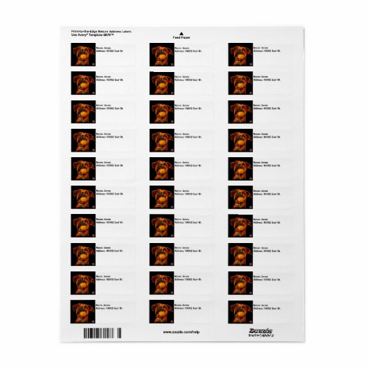 Moderne hondenkunst - Boxer Etiket (Full Sheet)