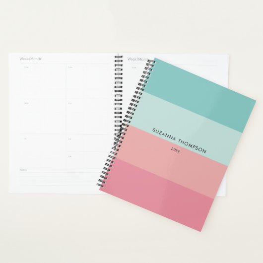 Moderne horizontale streep roze en blauw planner (Display)