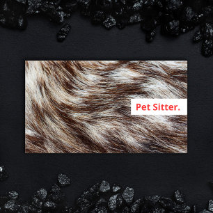 Moderne Huisdier Sitter Hond Walker Grooming Diere Visitekaartje