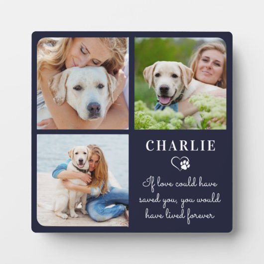 Moderne huisdierherdenking Aangepaste hondenfotoco Fotoplaat (Voorkant)