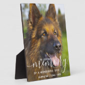 Moderne huisdierherdenking Gepersonaliseerd In lie Fotoplaat (Zijkant)