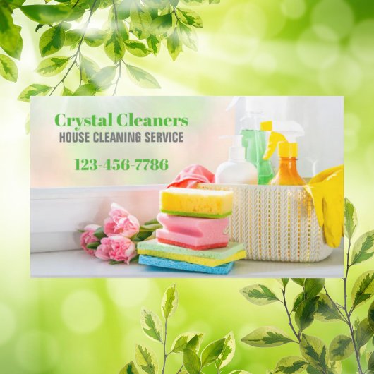 Moderne Huishoudster Maid Services Huishouden Visitekaartje