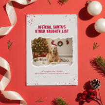 Moderne humor Grappige hondenfoto Kerstmis