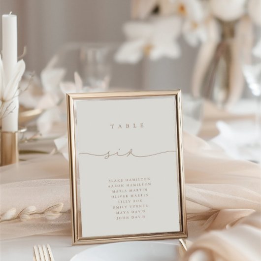 Moderne kalligrafie Taupe & Ivory Six Table Number