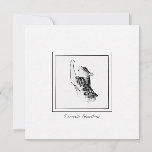 Moderne Kat Chalk & Charcoal Black en White Sketch Notitiekaartje (Voorkant)
